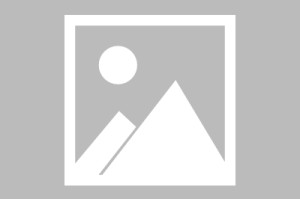 美职联：纽约城VS多伦多FC比分预测 纽约城能否继续连胜